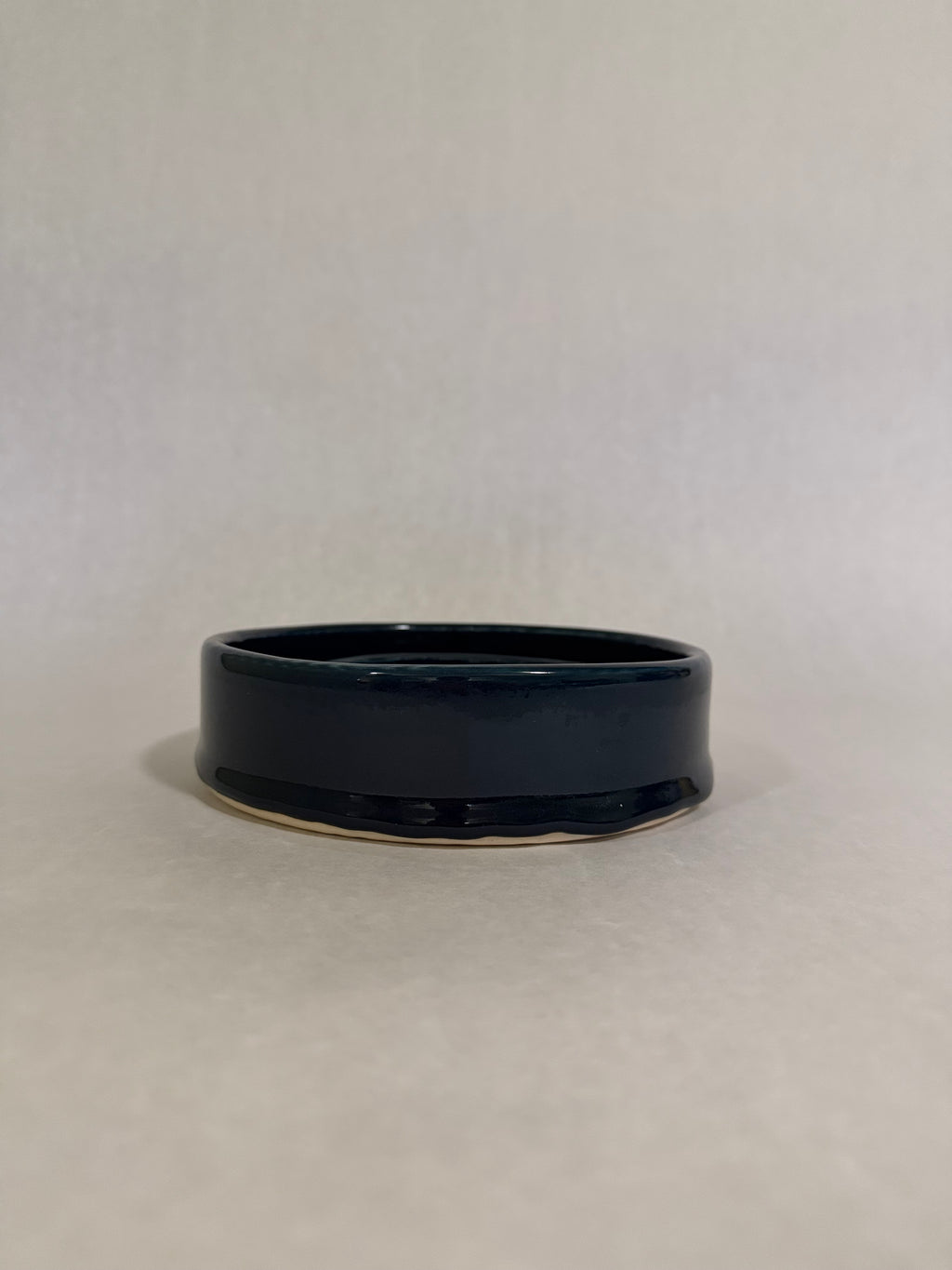 Spiral Slow Feeder Dog Bowl – Medium