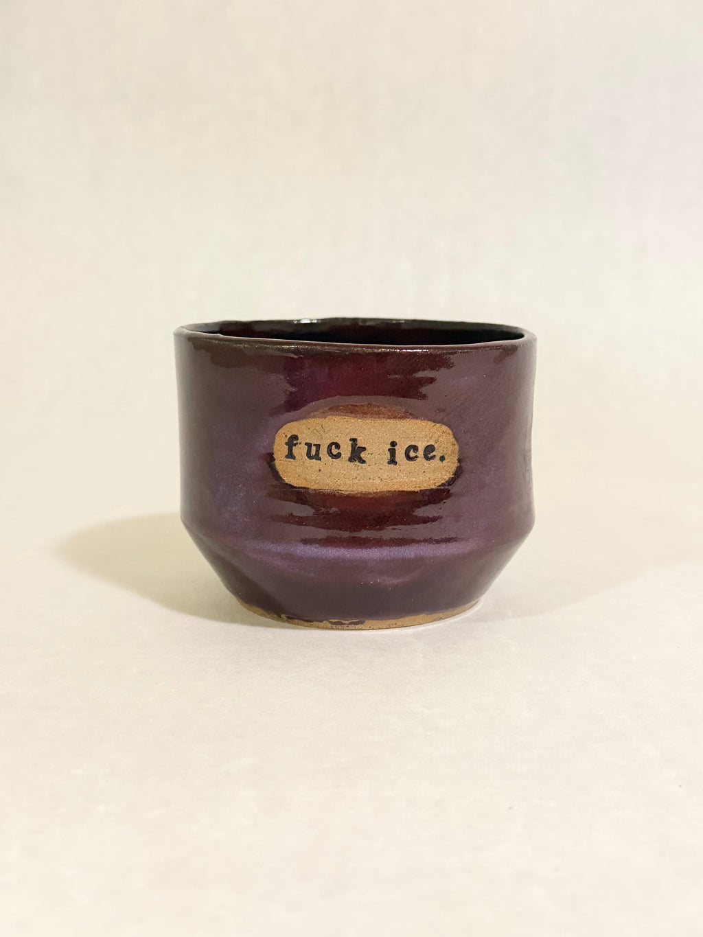 Fuck ICE Planter - Charity Sale