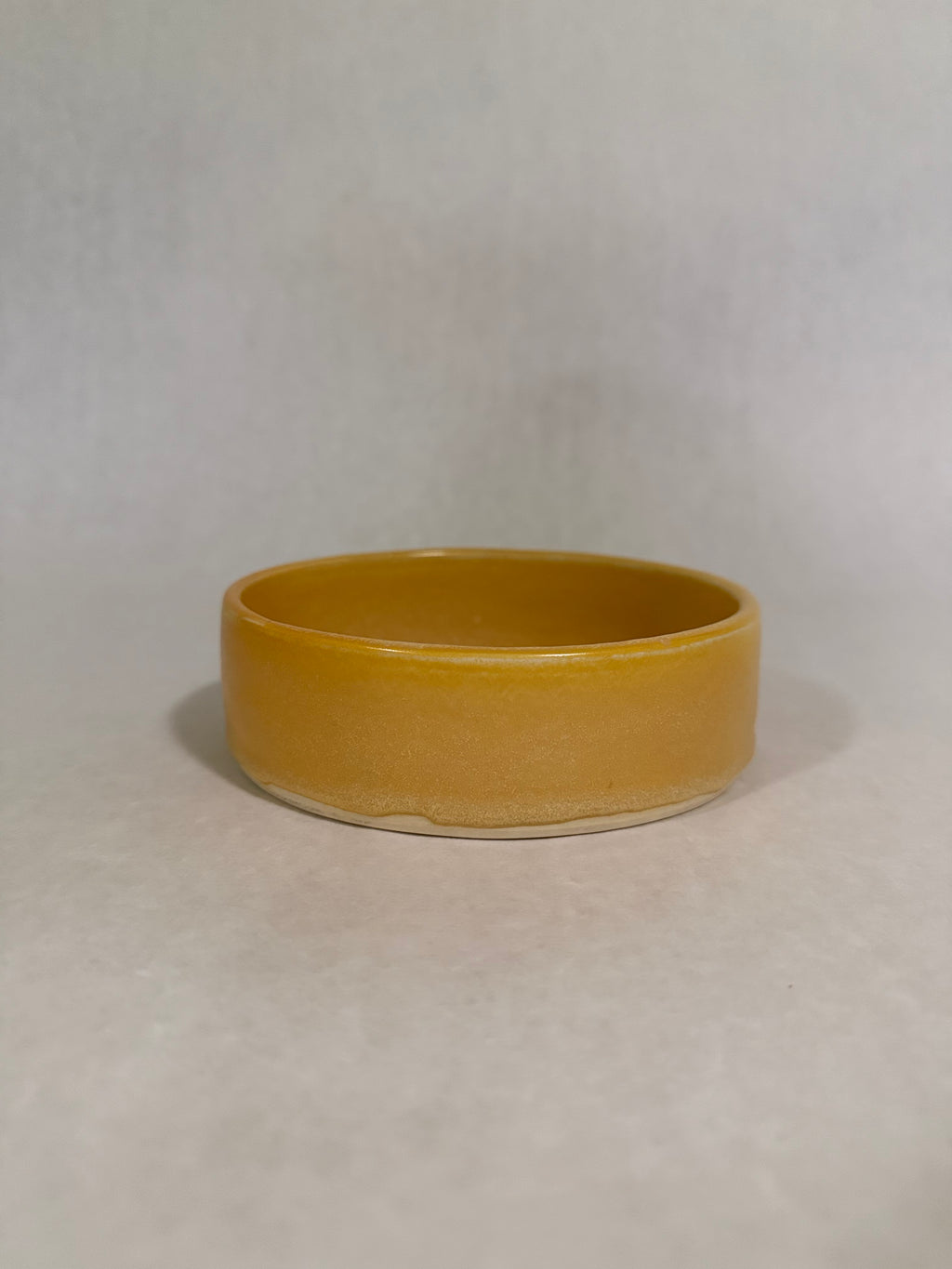 Classic Dog Bowl – Small